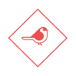 Thisisbird